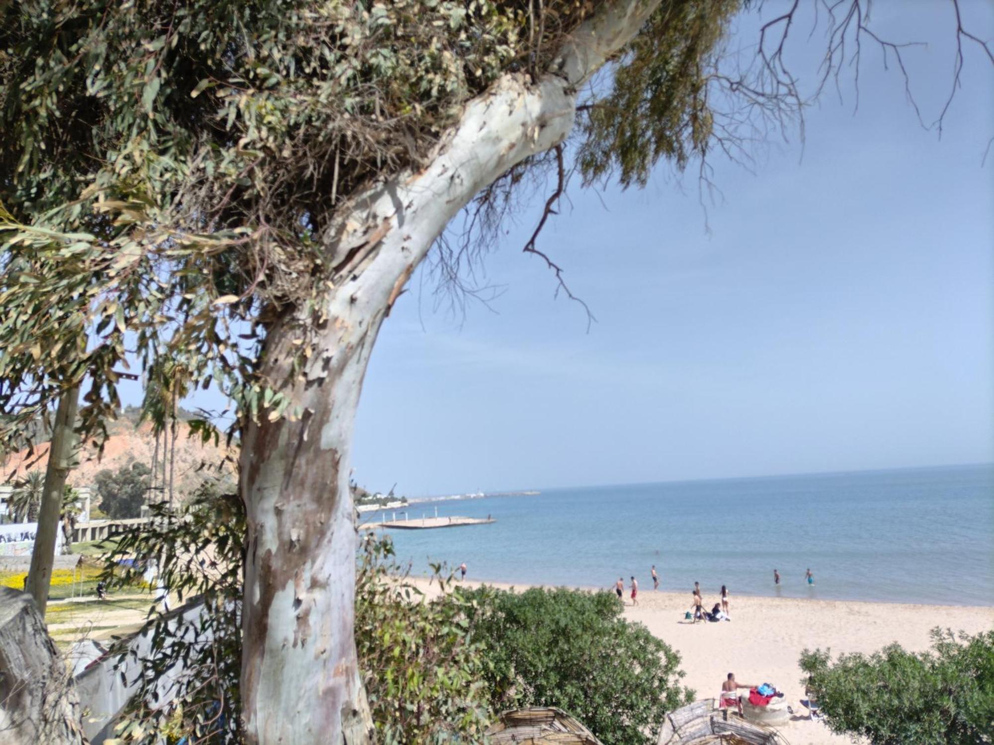 Marsa - Sidi Bousaid Lovely Authentic Apartment Ла Марса Екстериор снимка